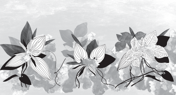 Organic-plants-black-and-white-wallpaper-mural